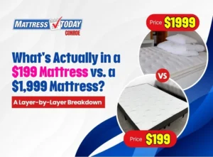 what-is-actually-in-a-$199-mattress
